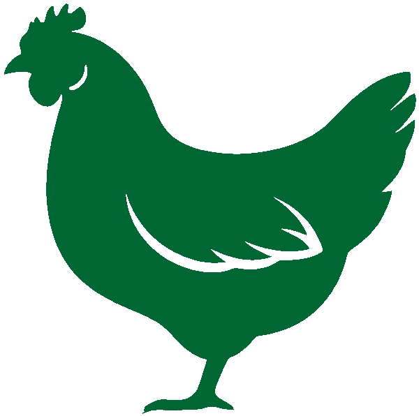 Baromfitenyésztés